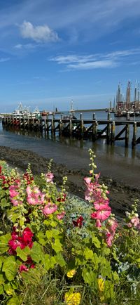 Wandelen in de natuur bevordert rust